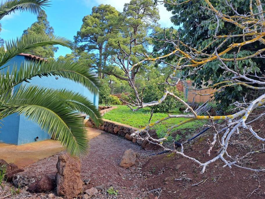 Appartamento Casa Nogal Puntagorda Esterno foto