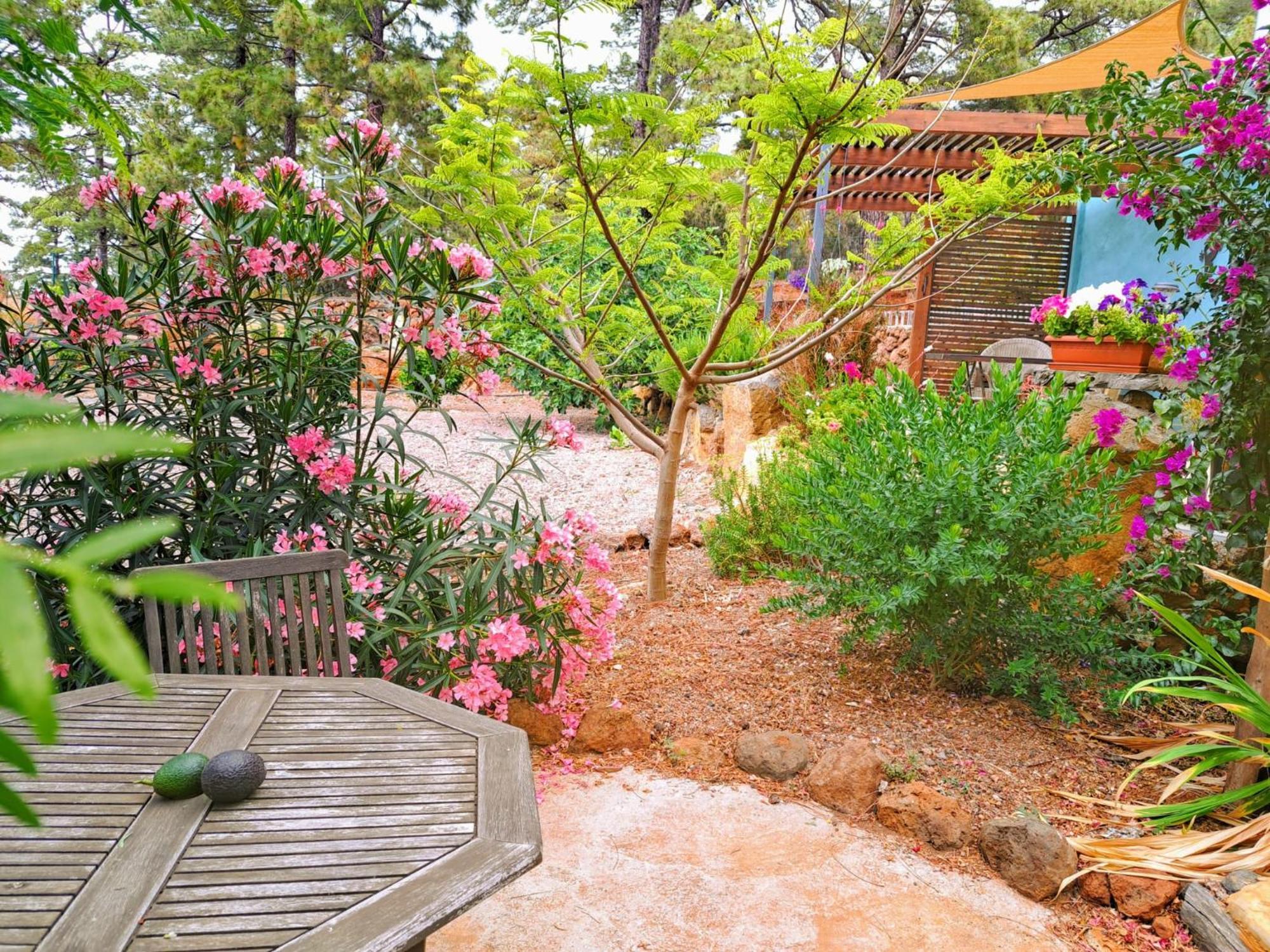 Appartamento Casa Nogal Puntagorda Esterno foto